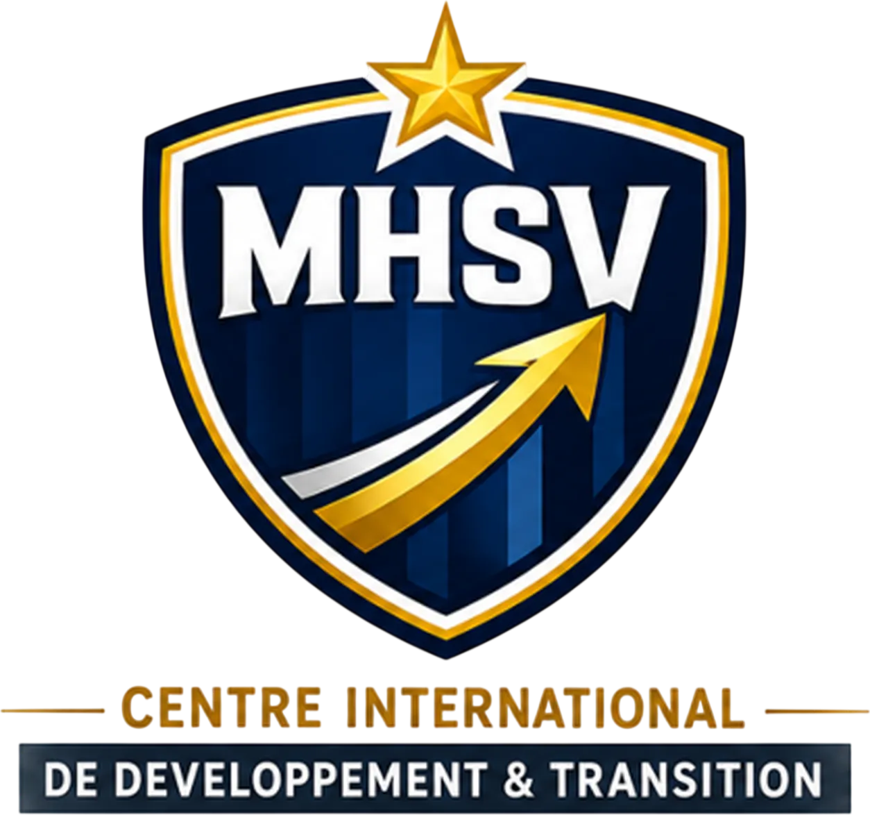 Logo MHSV® - Centre International de Développement et de Transition